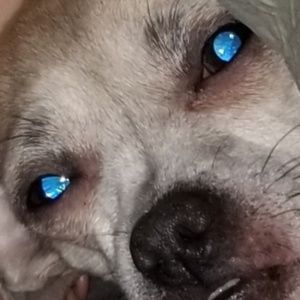 Meet your Posher, Jacob